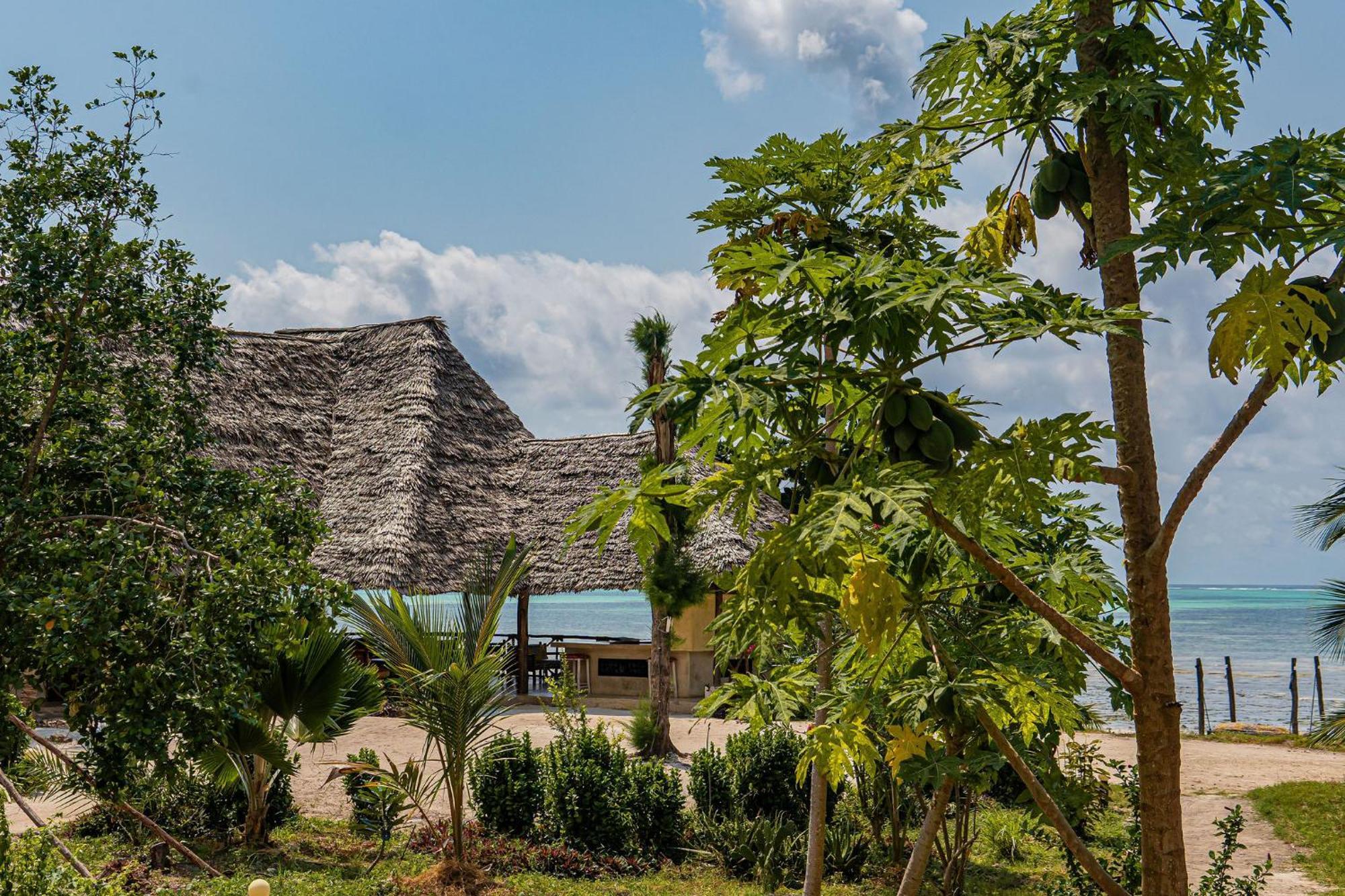 Jaribu Beach Hotel Paje Buitenkant foto