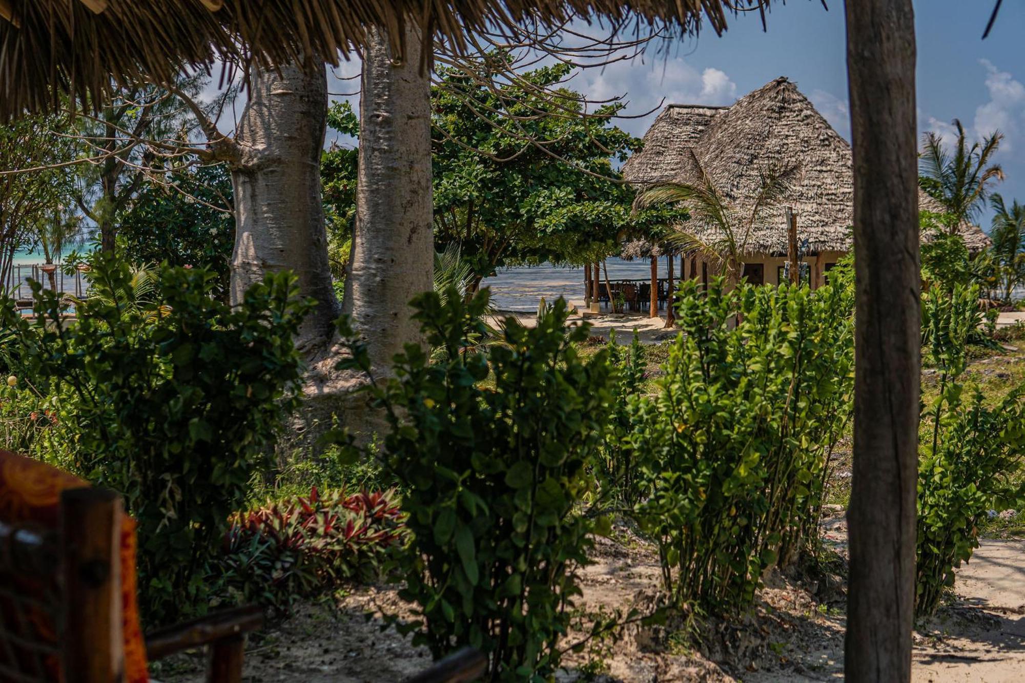 Jaribu Beach Hotel Paje Buitenkant foto