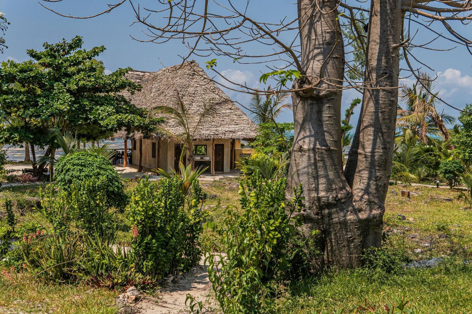 Jaribu Beach Hotel Paje Kamer foto